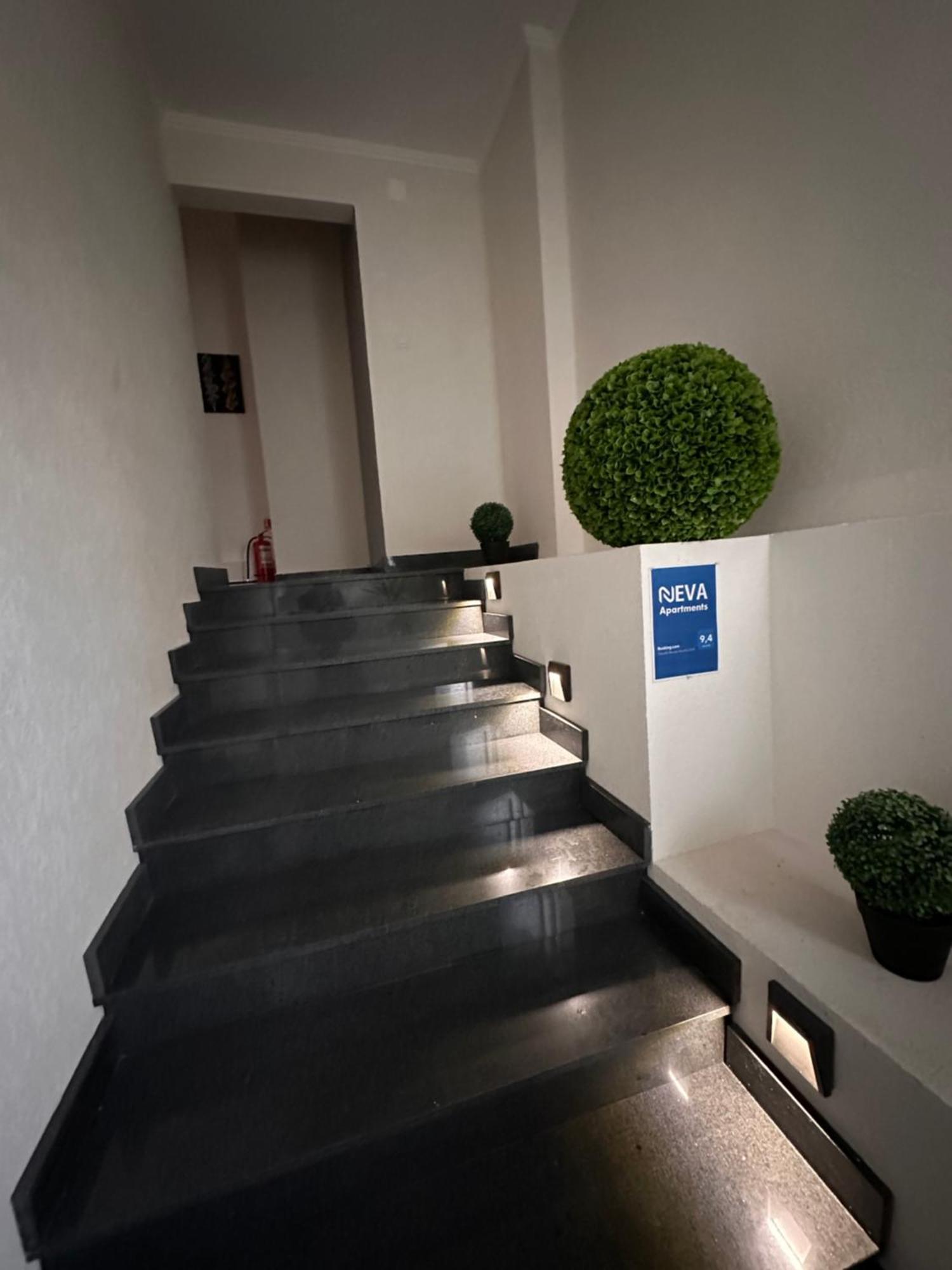 Neva Apartments Фегераш Екстер'єр фото